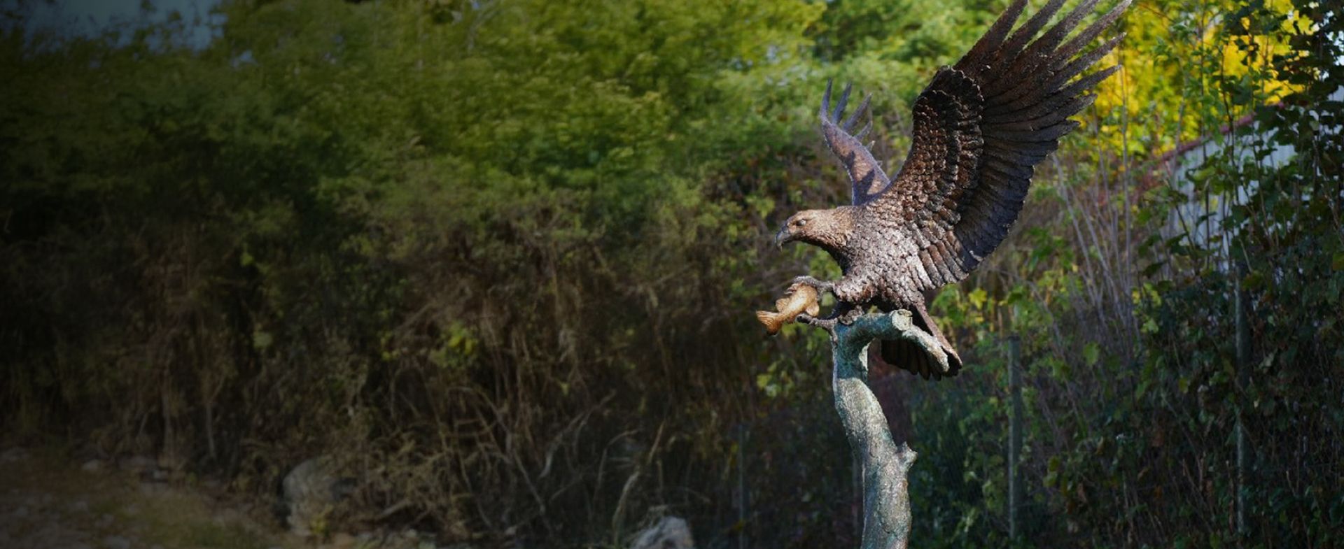 Ein majestätischer Adler mit ausgebreiteten Flügeln, der auf einem Ast sitzt und einen Fisch in seinen Krallen hält, umgeben von üppigem Grün.